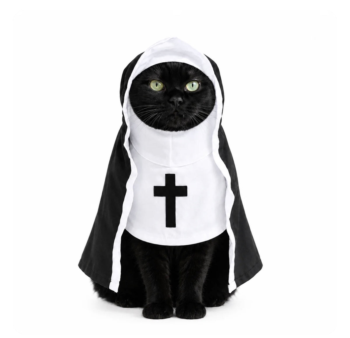 Holy Nun Pet Costume & Cape for Cats and Dogs
